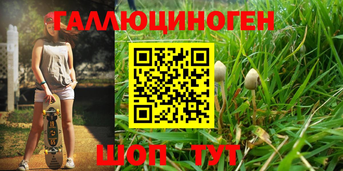 Псилоцибиновые грибы мухоморы Югорск
