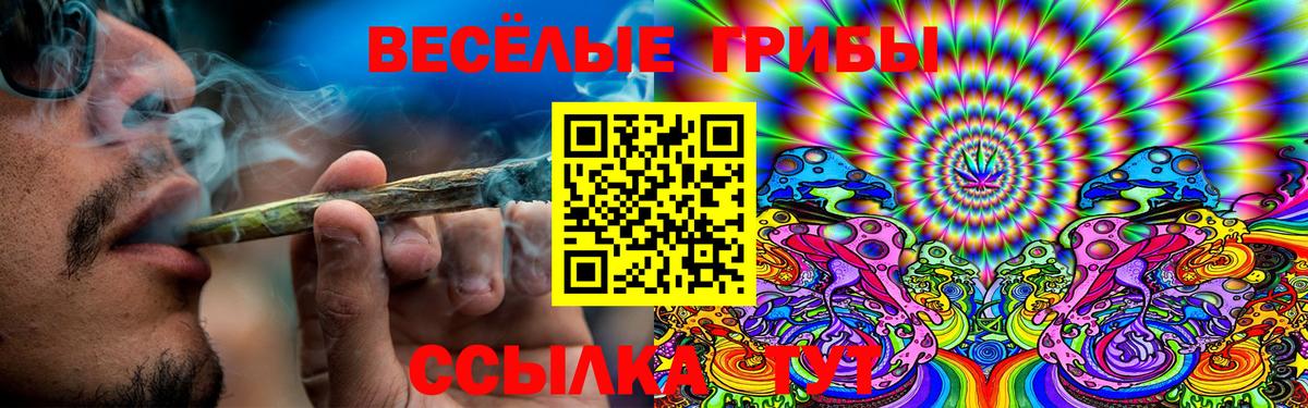 Галлюциногенные грибы GOLDEN TEACHER  Вход с VPN  Югорск 